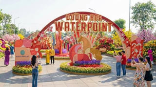 Hội hoa Xuân Waterpoint 2026: Điểm du Xuân “trên bến dưới thuyền” với loạt trải nghiệm đặc sắc, đa sắc màu văn hóa