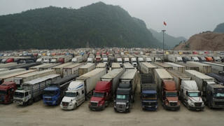 Thủ tướng chỉ đạo nóng tháo gỡ ách tắc hàng hóa xuất nhập khẩu