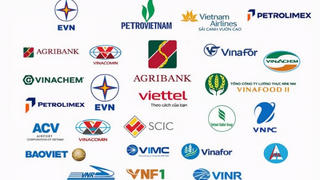PVN, EVN, Viettel, Agribank vào diện cơ cấu lại vốn nhà nước