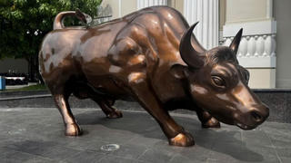 HOSE ra mắt bảng tên mới và linh vật Bò tót Dakmin