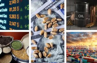 Đề xuất xây dựng Luật Giao dịch hàng hóa phái sinh