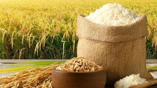 Thái Lan xuất khẩu gạo đạt 7,9 triệu tấn năm 2025