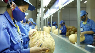 Không phải mọi doanh nghiệp nhỏ mới thành lập đều được miễn thuế TNDN 3 năm đầu