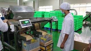 Kaizen - Chìa khóa nâng cao năng suất ngành điều