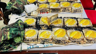 Hải quan phát hiện, thu giữ 165 kg ma tuý trong 2 tháng đầu năm 2026