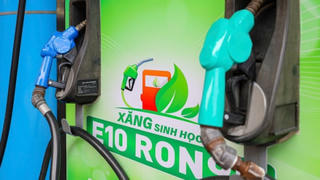 Doanh nghiệp có thể triển khai xăng E10 sớm trước lộ trình