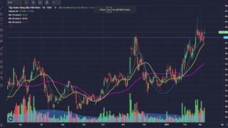 VN-Index giảm gần 19 điểm, cổ phiếu phân hóa rõ rệt