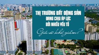 Thị trường bất động sản đang chịu áp lực bởi nhiều yếu tố, giá sẽ khó giảm