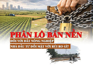 “Phân lô bán nền” đối với đất nông nghiệp, nhà đầu tư đối mặt với rủi ro gì?