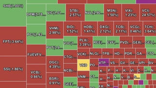 Thị trường điều chỉnh, VN-Index giảm 14 điểm