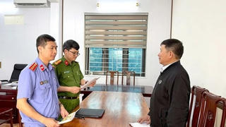 Khởi tố Phó Giám đốc Công ty Sơn Hải vì trốn thuế hơn 3,8 tỷ đồng