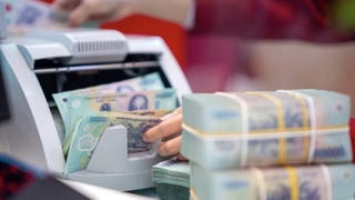 Ngân hàng Nhà nước chỉ đạo để ổn định lãi suất