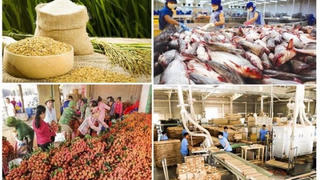 Xuất nhập khẩu nông lâm thủy sản đạt 16,69 tỷ USD