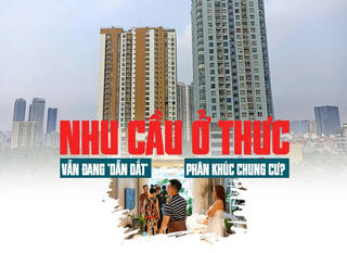 Nhu cầu ở thực vẫn đang “dẫn dắt” phân khúc chung cư