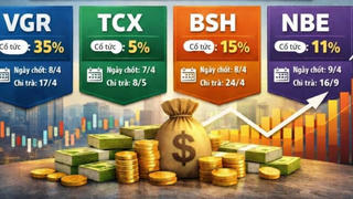 Nhiều doanh nghiệp chốt quyền chi cổ tức tiền mặt trong tuần tới, tỷ lệ cao nhất 35%
