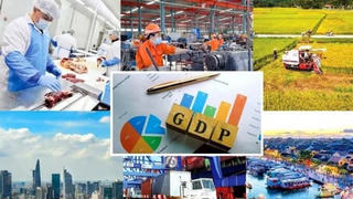ADB dự báo Việt Năm tăng trưởng 7,2% năm 2026, duy trì sức chống chịu