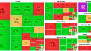 VN-Index đảo chiều tăng, lấy lại mốc 1.750 nhờ điểm tựa cổ phiếu ngân hàng, dầu khí