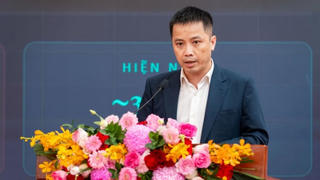 Doanh nghiệp tư nhân đông nhưng chưa mạnh, thiếu đầu tàu dẫn dắt