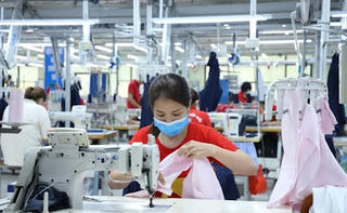 Vinatex ước lãi quý 1 tăng 31%