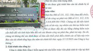 Âm vốn, lỗ nặng, Giầy Thượng Đình vẫn tính vay gần 8.000 tỷ làm dự án