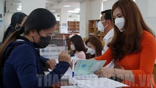 Gần 28.000 doanh nghiệp Tp.HCM chậm đóng bảo hiểm