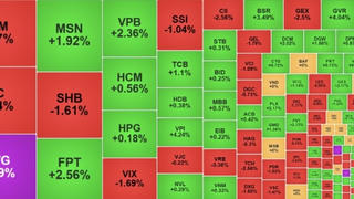 VN-Index giảm nhẹ, chấm dứt chuỗi tăng đậm