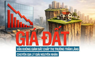 Giá đất vẫn không giảm bất chấp thị trường trầm lắng, chuyên gia lý giải nguyên nhân