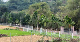 Hà Nội: Chuyển đất vườn, ao, đất nông nghiệp sang đất ở nộp 30%-100% chênh lệch