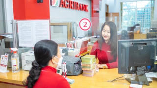 Agribank vượt mốc 100 tỷ USD tài sản, chuẩn bị cổ phần hóa