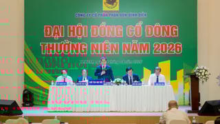 ĐHĐCĐ Bình Điền: Kế hoạch tổng doanh thu 10.990 tỷ đồng trong năm 2026