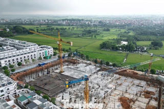 Tỷ phú Hồ Hùng Anh - Chủ tịch Techcombank  nói gì về rủi ro bất động sản trong 5-10 năm tới?