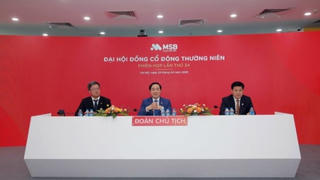 ĐHĐCĐ MSB thông qua phương án tăng vốn lên 37.440 tỷ đồng
