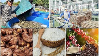Xuất khẩu nông lâm, thủy sản đạt 23 tỷ USD, tăng trên 5%