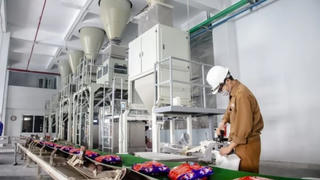 Cổ phiếu Hoá chất Đức Giang bị đưa vào diện kiểm soát