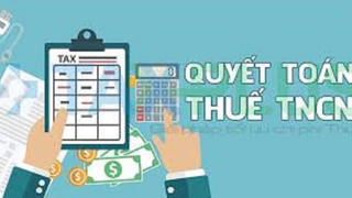 Người lao động ủy quyền quyết toán thuế TNCN nhưng có phát sinh nghĩa vụ thuế thì doanh nghiệp bị phạt chậm nộp không?