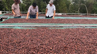 Doanh nghiệp kinh doanh nhiên liệu sinh khối áp dụng “không phải kê khai” thuế GTGT hay thuế suất 5% từ 2026?