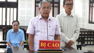 Lý do giám đốc Công ty Hoàng Thông lãnh án 12 năm tù