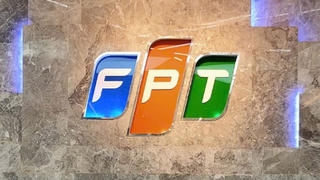FPT Telecom không đáp ứng điều kiện công ty đại chúng