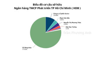 Ai đang sở hữu ngân hàng HDBank?