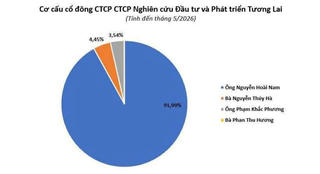 Chân dung đại gia BĐS Nguyễn Hoài Nam và nhóm doanh nhân thâu tóm lại mảng sản xuất VinFast