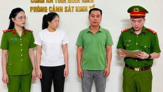Khởi tố nữ giám đốc doanh nghiệp cây xanh ở Ninh Bình vì trốn thuế hơn 3 tỷ đồng