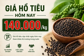 Chốt giá hồ tiêu hôm nay 11/6: Trong nước giữ 138.000 - 140.000 đồng/kg Chốt giá hồ tiêu hôm nay 11/6: Trong nước giữ 138.000 - 140.000 đồng/kg