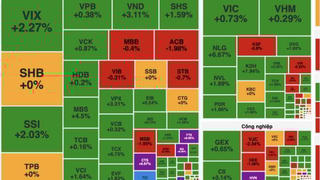 VN-Index giữ vững mốc 1.800 điểm, dòng tiền dồn vào tài chính