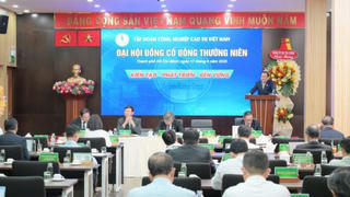 Tập đoàn Công nghiệp Cao Su Việt Nam đặt mục tiêu doanh thu kỷ lục gần 33.000 tỷ đồng năm 2026