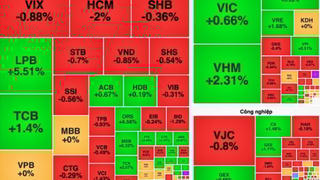 LPB lập đỉnh lịch sử, VN-Index tăng gần 9 điểm sau phiên rung lắc mạnh