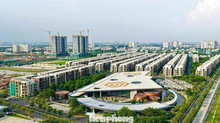 Thị trường BĐS 6 tháng cuối năm 2026 sẽ thanh lọc, khó tăng nóng