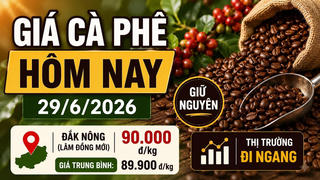 Chốt giá cà phê hôm nay 29/6: Tây Nguyên tiến sát mốc 90.000 đồng/kg