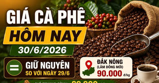 Giá cà phê hôm nay 30/6: Việt Nam chiếm 20% thị phần EU