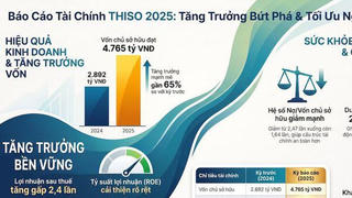 Bức tranh tài chính của THISO có gì đáng chú ý?