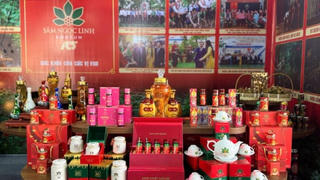 Sâm Ngọc Linh Kon Tum và hàng loạt doanh nghiệp nợ thuế